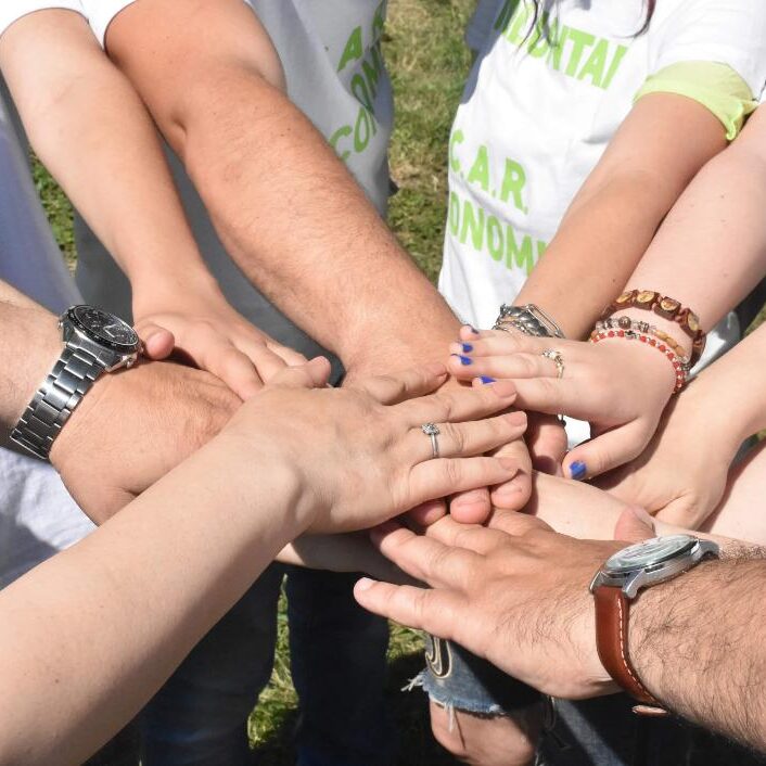 Vino in familia CAR ECONOMIA!